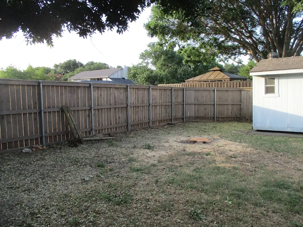 Cleared yard after professional tree removal in Calexico